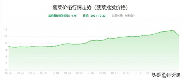 創記錄!全國菜價集體飈紅,菜農卻保本都難 創記錄!全國菜價集體飈紅,菜農卻保本都難