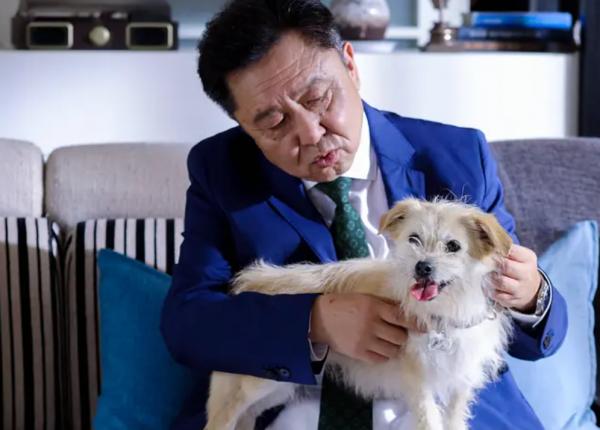 中秋檔慘淡：沈騰、于謙又交出爛片，“請大牌撐票房”的定律失效