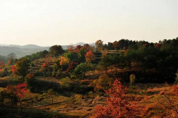 秋天的美景，真迷人