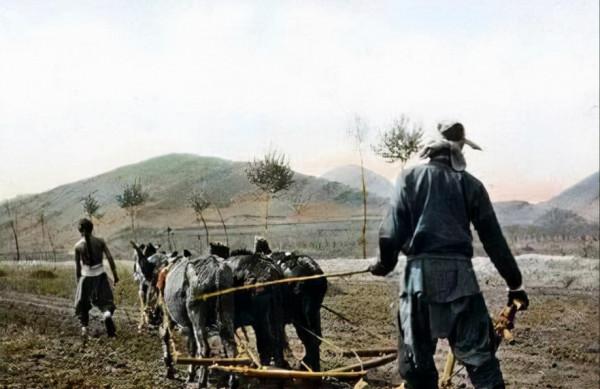 清朝從嘉慶開始走向沒落？真的不怪嘉慶，根源都在康熙和乾隆