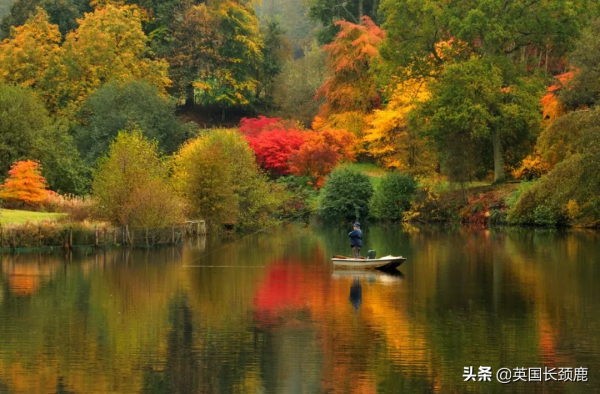 你還記得深秋英國的樣子嗎?若你還在,與你共享 你還記得深秋英國的樣子嗎?若你還在,與你共享