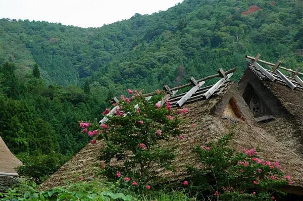 38間破茅草房竟成網紅村，每年30萬人打卡，美麗鄉村怎離得開