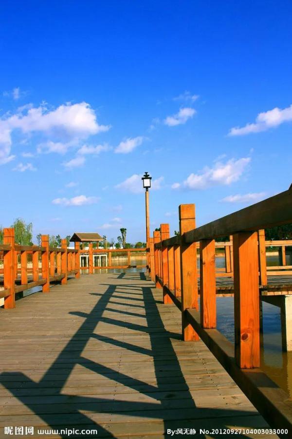 特別漂亮的路風景分享