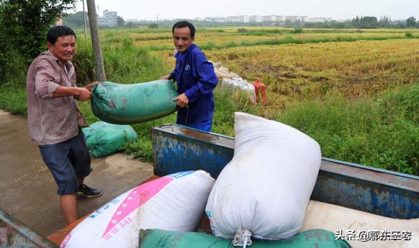 在農村種地一年掙10萬元，還會外出打工嗎？