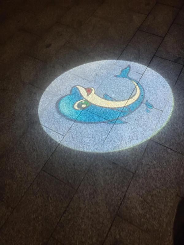 美麗的後湖夜晚