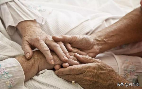 &OpenCurlyDoubleQuote;迴光返照&rdquo;時，人會看到什麼？其實，這是人體最後的垂死掙扎