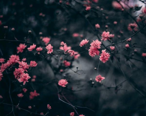 聰明過人，但容易抑鬱的星座：看透了一切，內心卻很孤獨