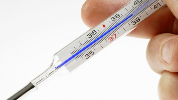 涮羊肉吃出“布病”？這是什麼病？怎麼傳染的？醫生教你如何預防