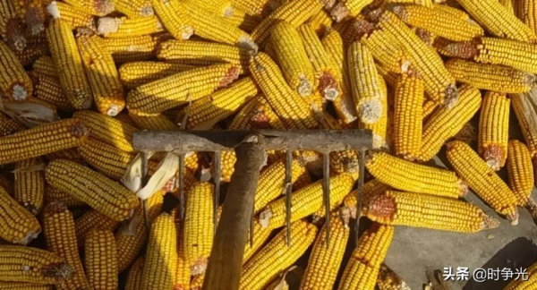 叔叔地,爺爺收!孝順這個詞彙真的被孩子們遺忘了!大寫的失望 叔叔地,爺爺收!孝順這個詞彙真的被孩子們遺忘了!大寫的失望