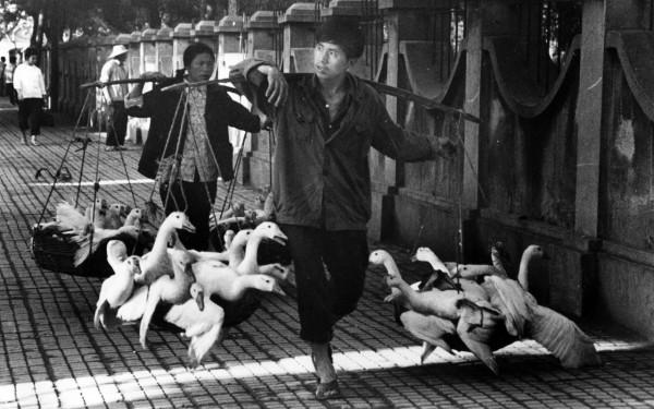 百年江蘇紀實影像藝術展 |春潮澎湃,跳動著時代的脈搏 百年江蘇紀實影像藝術展 |春潮澎湃,跳動著時代的脈搏