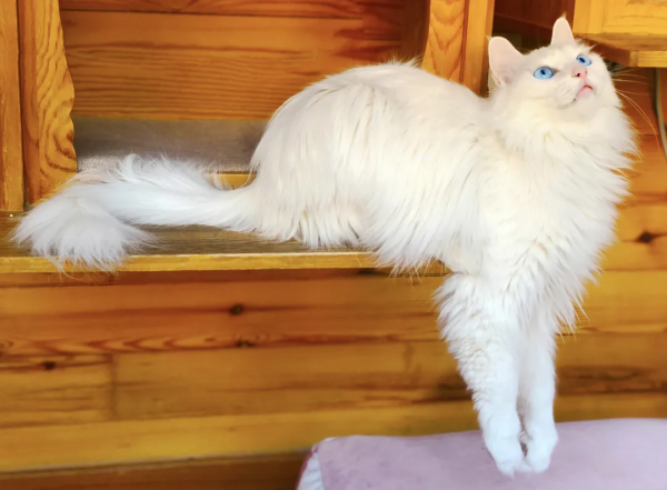 脖子扭扭屁股扭扭，久坐傷身讓我們來做運動