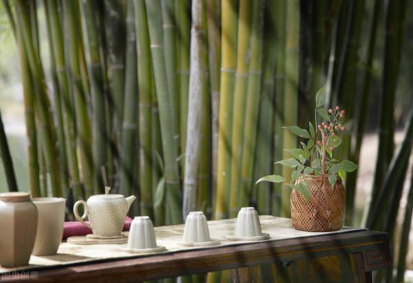 喝茶的人,請遠離這3個圈子 喝茶的人,請遠離這3個圈子