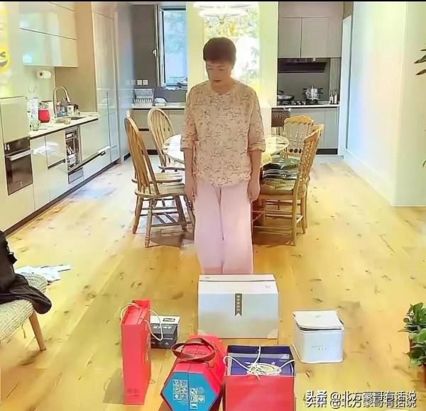 史曉燕在洛杉磯機場海關遇險？差點兒被打道回府