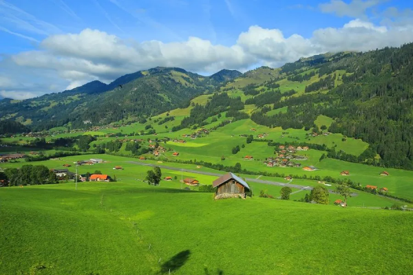 22考研:非師範生推薦跨考教育學嗎?怎樣開始備考? 22考研:非師範生推薦跨考教育學嗎?怎樣開始備考?