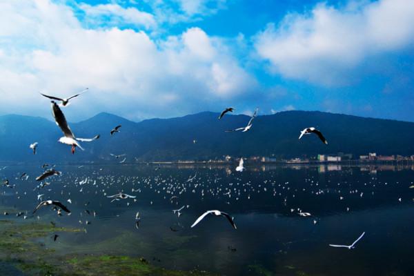 我國適合養老的4座城市,空氣好房價又低,你會選擇哪一個? 我國適合養老的4座城市,空氣好房價又低,你會選擇哪一個?