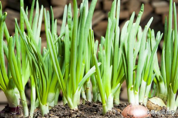 春天不要只給孩子吃肉，這6種含鉀高的蔬菜也要吃，幫助長個