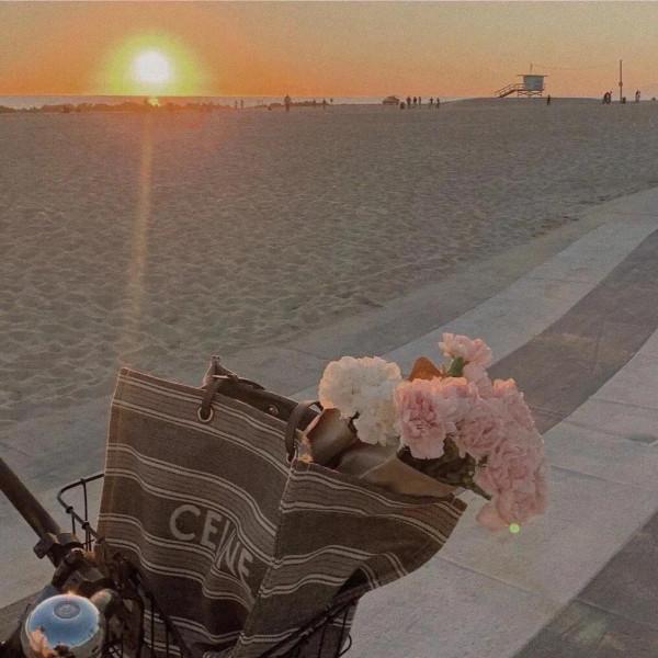 普通人一輩子也寫不出來的絕美句子丨提升文筆寫作素材100句 普通人一輩子也寫不出來的絕美句子丨提升文筆寫作素材100句