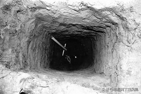 全國重點文物保護範圍內古墓被盜,護墓員不敢上報,自己填了盜洞 全國重點文物保護範圍內古墓被盜,護墓員不敢上報,自己填了盜洞