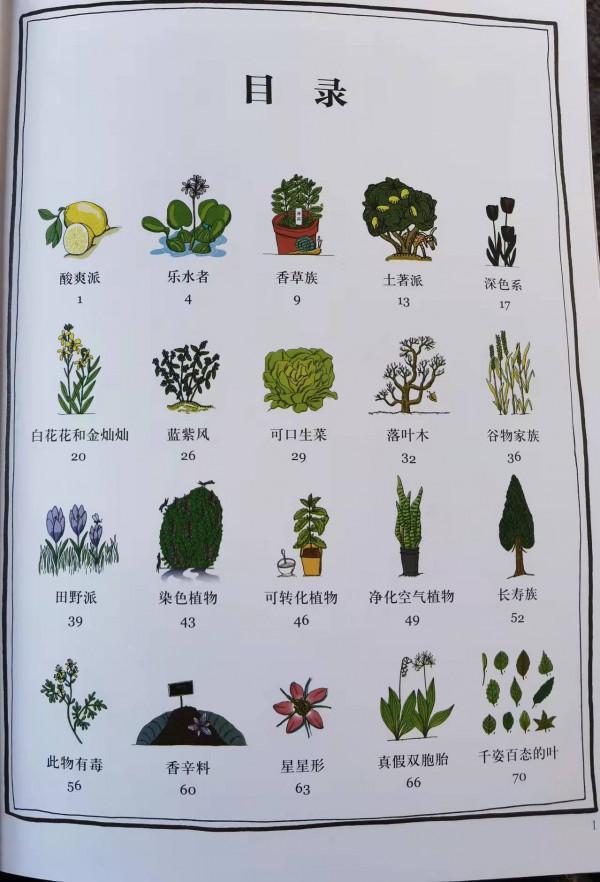 讓孩子們愛不釋手的植物新繪本，你知道《植物的朋友圈》有誰嗎？