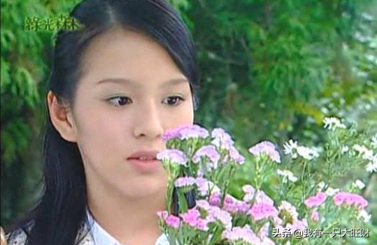 《綠光森林》歐文是最深情的騎士，可他守護的公主還是選擇了王子