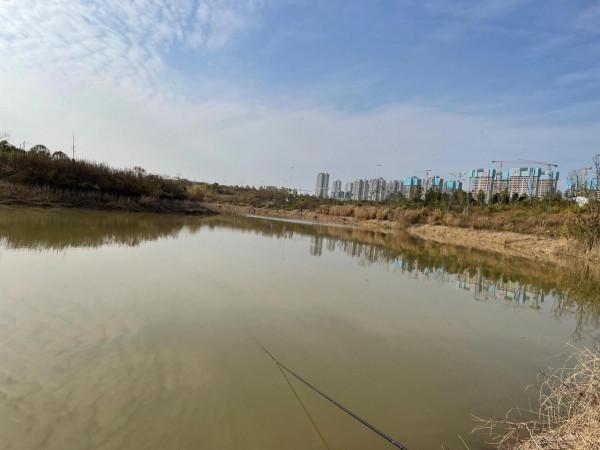 週末再戰湄溪河，再獲闆闆