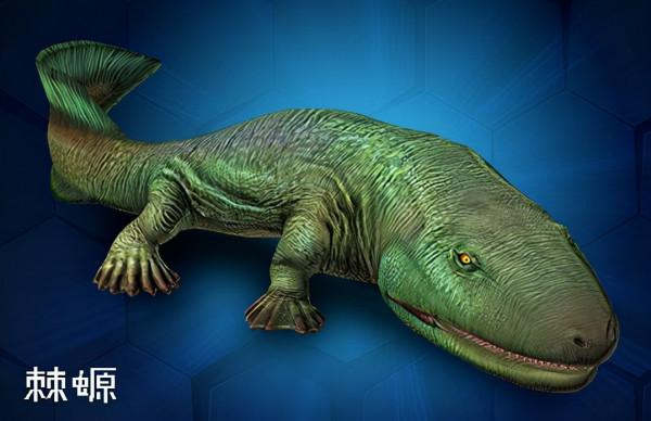 鯨魚沒有手，為什麼長著人手一樣的骨骼？這得從鯨魚的進化史說起