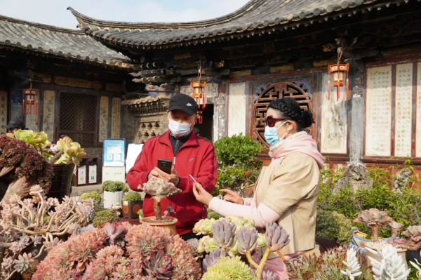 春節到朱家花園看多肉