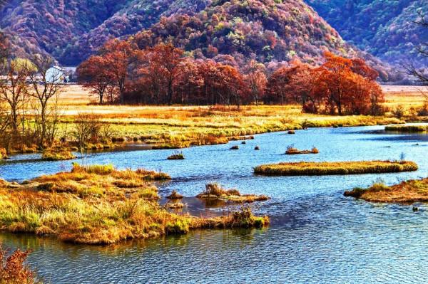 11月，看湖北，層林盡染！