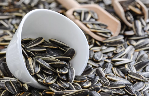 魔膳未來|這些“低熱量”零食讓你默默長胖,每一口都堪比豬油 魔膳未來|這些“低熱量”零食讓你默默長胖,每一口都堪比豬油