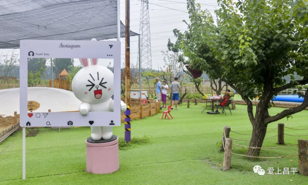 秋日農場嗨玩!露營野餐,種菜摘果,過嚮往的田園生活 秋日農場嗨玩!露營野餐,種菜摘果,過嚮往的田園生活