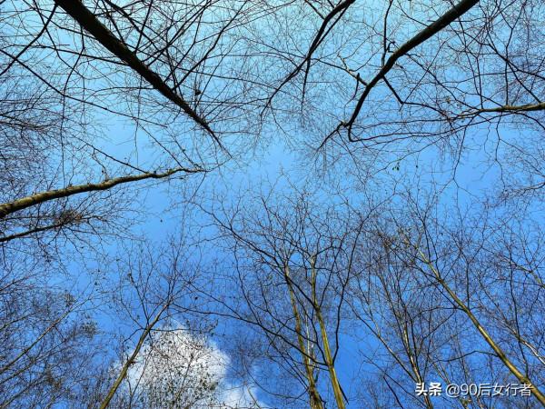 徒步成都大邑終南山，山高路遠無人煙，只有一座荒廢無人的道觀