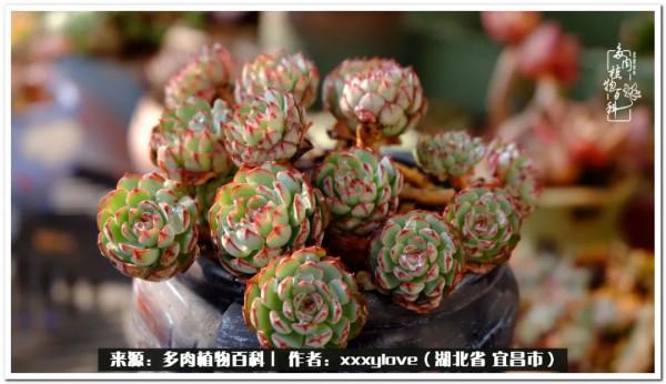 時光匆匆，一閃而逝，這世間萬物的美，都值得被記錄