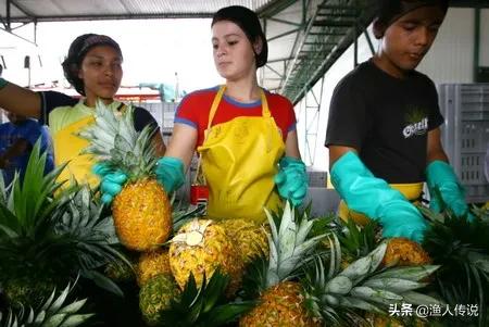 “哥斯大黎加”現狀，帶你看看真實的哥斯大黎加