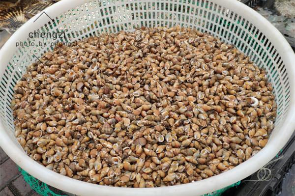 明日中秋,家裡再差錢,也要記得吃“6樣寶”,健康團圓過中秋 明日中秋,家裡再差錢,也要記得吃“6樣寶”,健康團圓過中秋