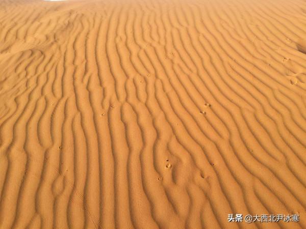 跟著三毛的足跡一起走進撒哈拉沙漠（圖）