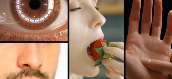 駭客帝國預言人類啟用元宇宙的後果,躺平可能才是唯一出路? 駭客帝國預言人類啟用元宇宙的後果,躺平可能才是唯一出路?