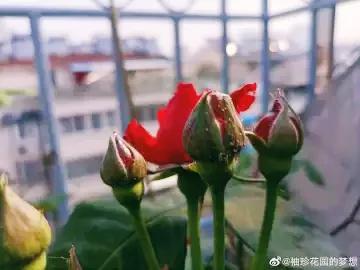 家中煩事(隨筆) 家中煩事(隨筆)