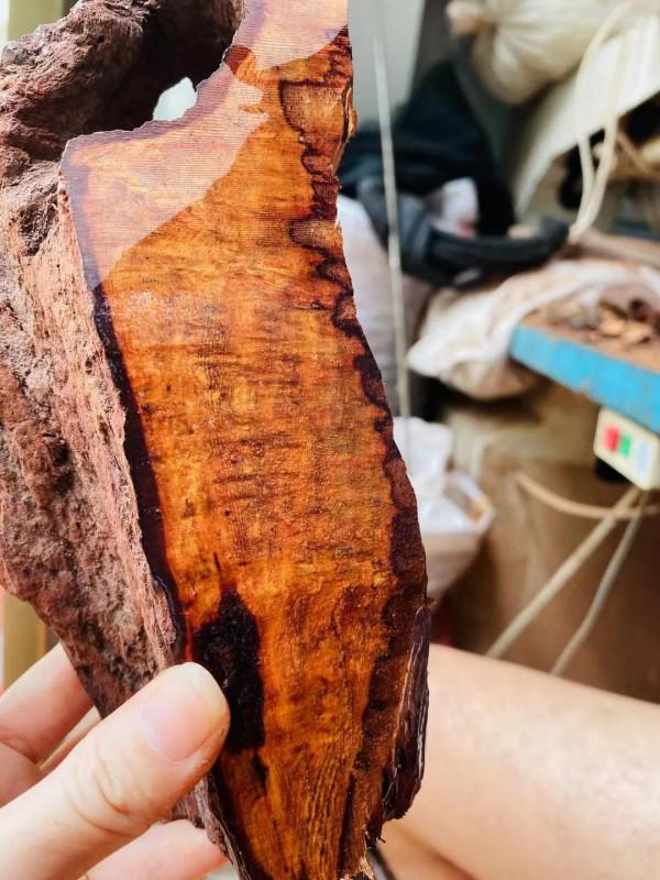 海南紅土木本降真香之道 海南紅土木本降真香之道