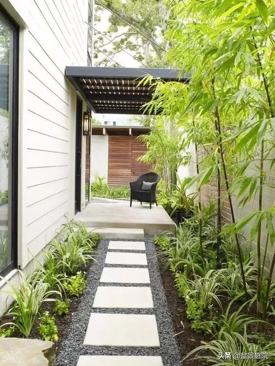 家有竹園，這才是極具風雅之事