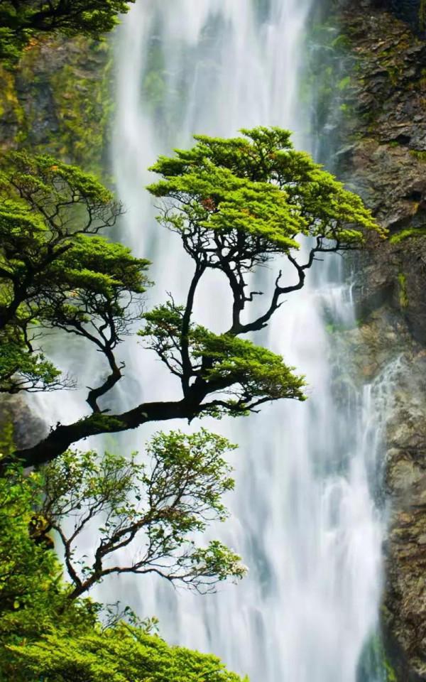 中國歷史之最—你想知道的知識都在這裡了（三）