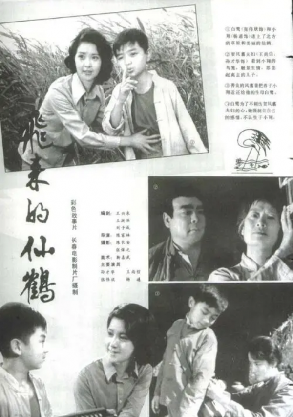 &OpenCurlyDoubleQuote;李小璐媽媽&rdquo;張偉欣：當年差點死在片場，女兒離婚成了她的痛