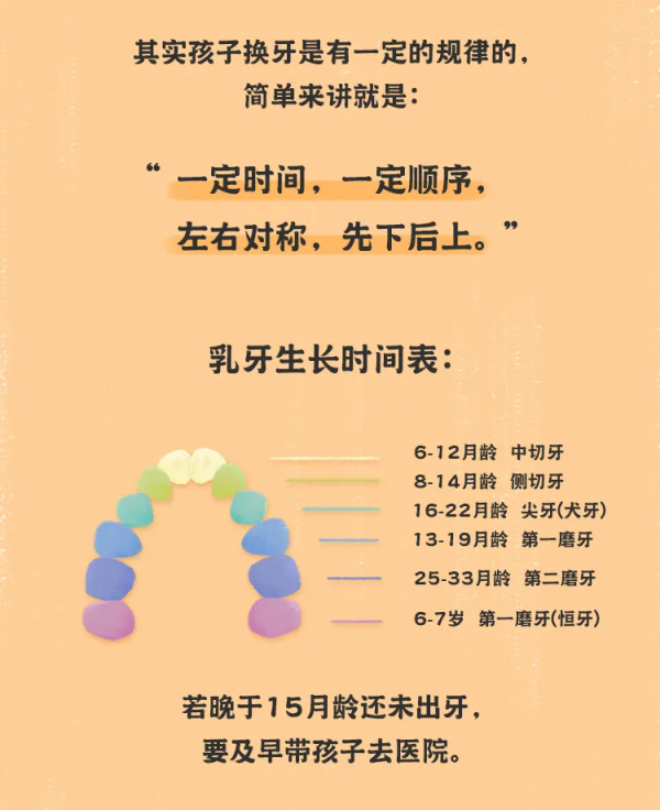 《最全兒童牙齒髮育時間表》來了!家長一定要了解 《最全兒童牙齒髮育時間表》來了!家長一定要了解