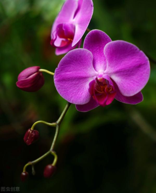 時代新視點 ‖ 大智若愚也是人生一種境界