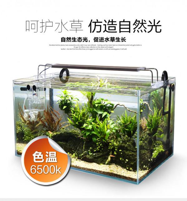 新手如何入門水族系列之五燈具的選擇 新手如何入門水族系列之五燈具的選擇