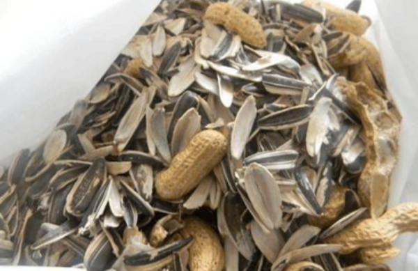 又到3種“垃圾”最多的季節,如果家中有別扔,用來養花特別棒 又到3種“垃圾”最多的季節,如果家中有別扔,用來養花特別棒