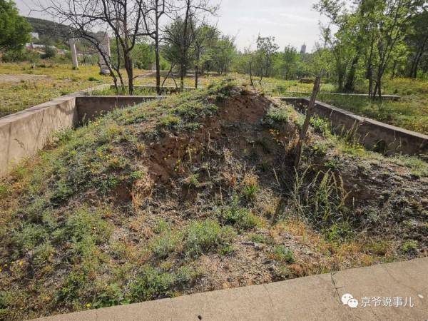 驚詫!京郊一古墓的“贔屓”居然回頭了 驚詫!京郊一古墓的“贔屓”居然回頭了