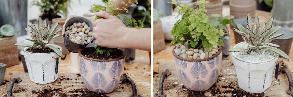 沒有底洞的花盆，怎麼能養好花？