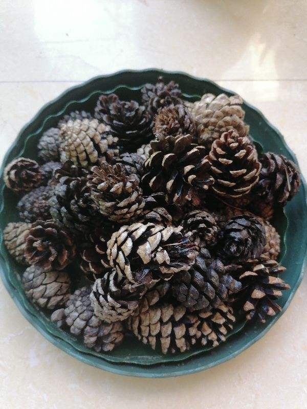 堅果真難剝,5個妙招,吃堅果不再費勁 堅果真難剝,5個妙招,吃堅果不再費勁