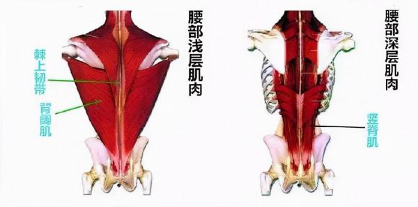 這些錯誤的減肥訓練正在讓你的健康受到很大影響