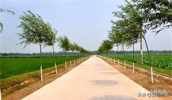 老家河南，門口那條路，越來越美了（配圖）